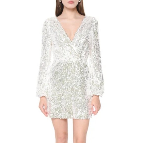 WAYF Long Sleeve Sequin Minidress - Picture 1 of 5